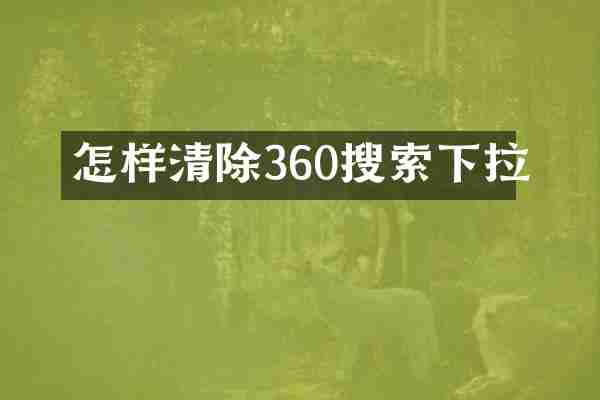 怎样清除360搜索下拉