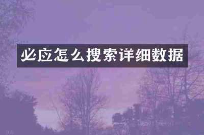 必应怎么搜索详细数据