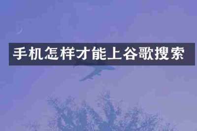 手机怎样才能上谷歌搜索