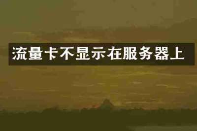 流量卡不显示在服务器上