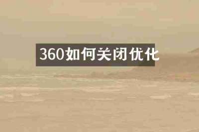 360如何关闭优化