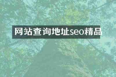 网站查询地址seo精品