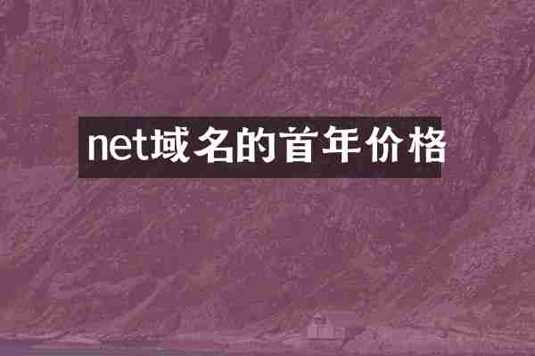 net域名的首年价格