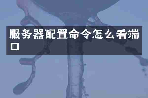 服务器配置命令怎么看端口
