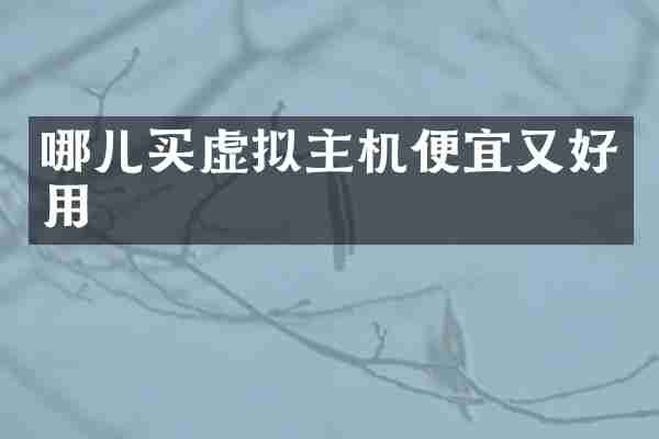 哪儿买虚拟主机便宜又好用