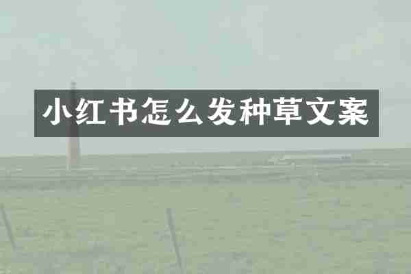 小红书怎么发种草文案