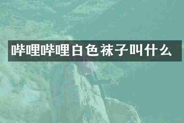 哔哩哔哩白色袜子叫什么