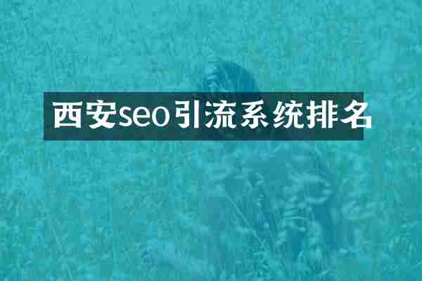 西安seo引流系统排名