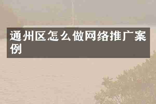 通州区怎么做网络推广案例