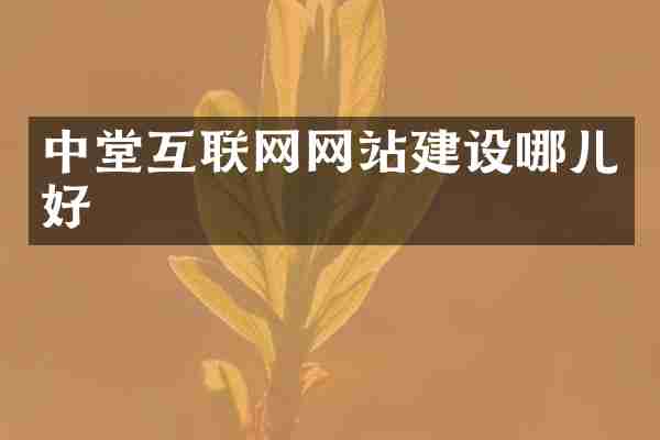 中堂互联网网站建设哪儿好