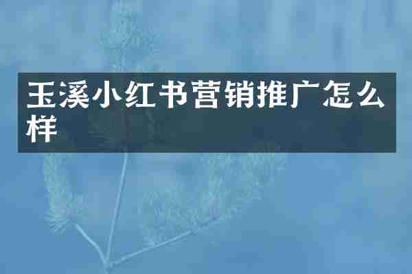 玉溪小红书营销推广怎么样
