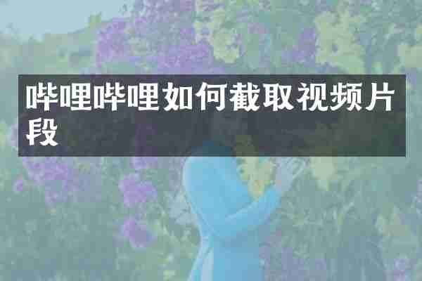 哔哩哔哩如何截取视频片段