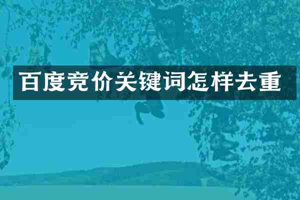 百度竞价关键词怎样去重