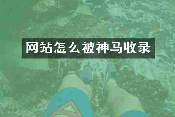 网站怎么被神马收录