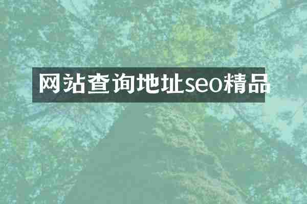网站查询地址seo精品