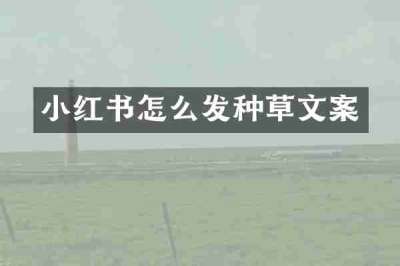 小红书怎么发种草文案