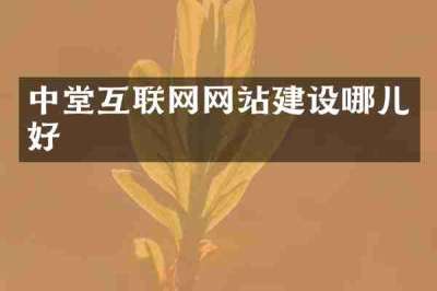 中堂互联网网站建设哪儿好
