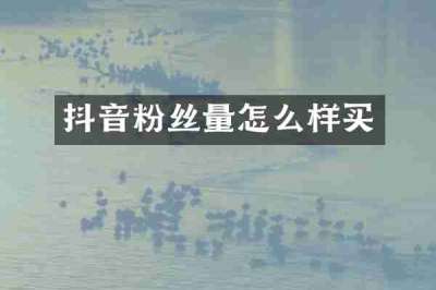 抖音粉丝量怎么样买