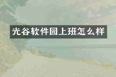 光谷软件园上班怎么样