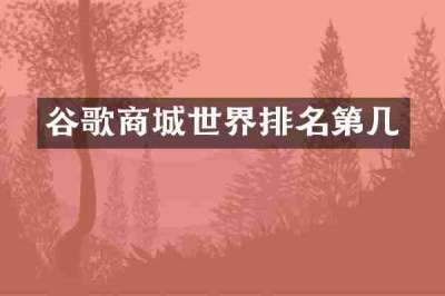 谷歌商城世界排名第几