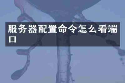 服务器配置命令怎么看端口