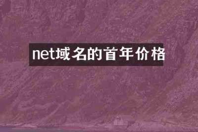 net域名的首年价格