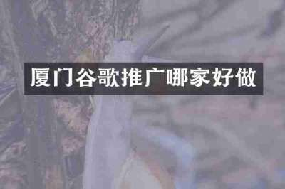 厦门谷歌推广哪家好做