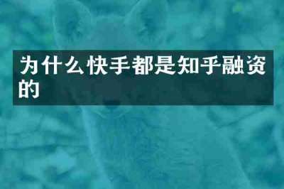 为什么快手都是知乎融资的
