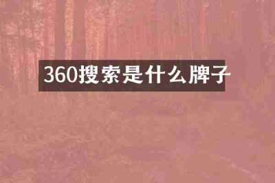 360搜索是什么牌子