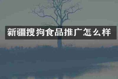 新疆搜狗食品推广怎么样