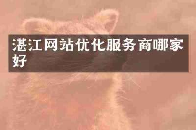 湛江网站优化服务商哪家好
