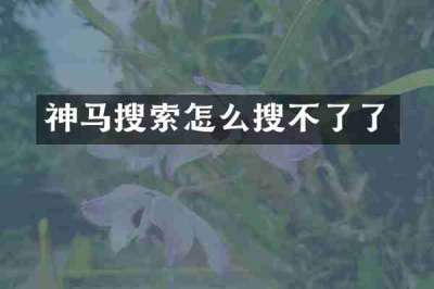 神马搜索怎么搜不了了