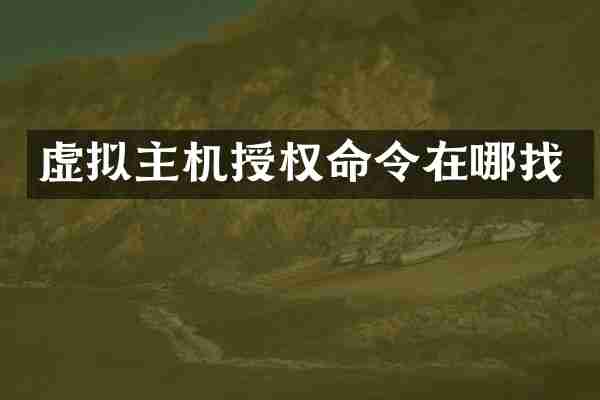 虚拟主机授权命令在哪找