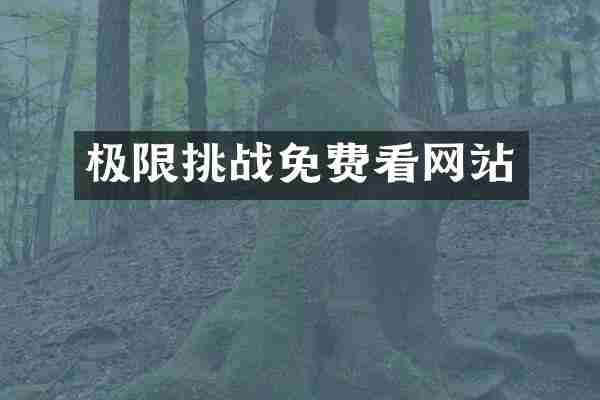 极限挑战免费看网站