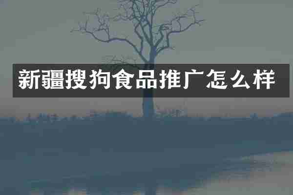 新疆搜狗食品推广怎么样