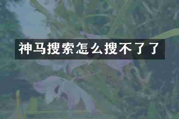 神马搜索怎么搜不了了