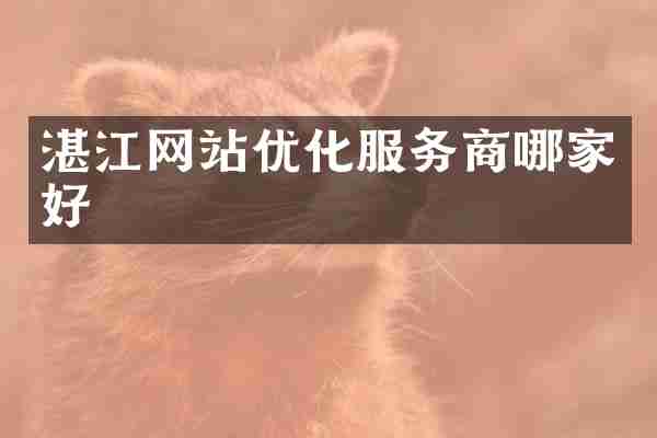 湛江网站优化服务商哪家好