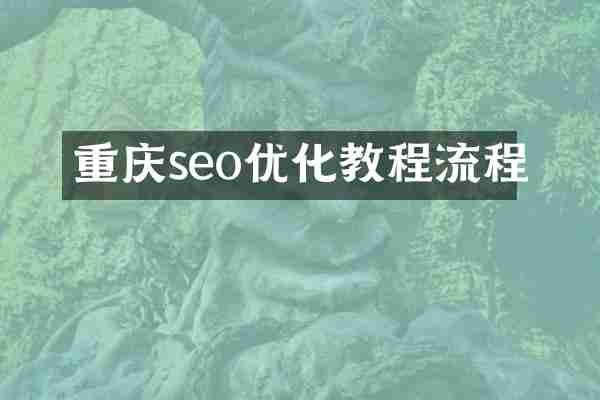 重庆seo优化教程流程