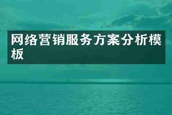 网络营销服务方案分析模板