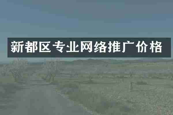 新都区专业网络推广价格