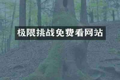 极限挑战免费看网站