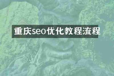重庆seo优化教程流程