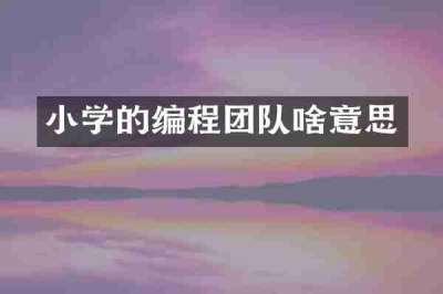 小学的编程团队啥意思
