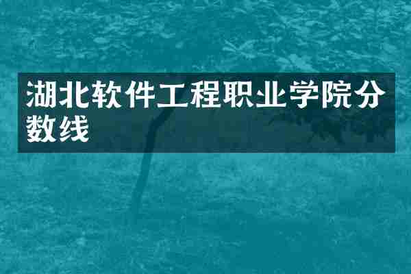 湖北软件工程职业学院分数线