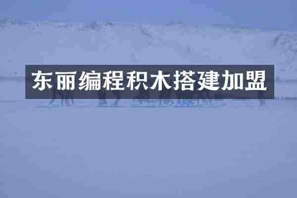 东丽编程积木搭建加盟