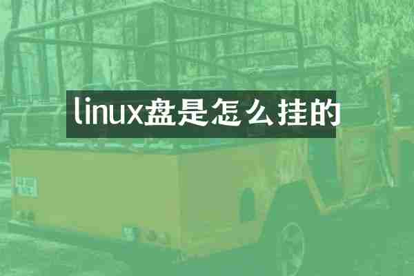 linux盘是怎么挂的