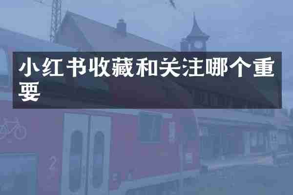 小红书收藏和关注哪个重要