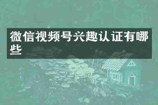 微信视频号兴趣认证有哪些