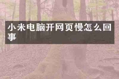 小米电脑开网页慢怎么回事