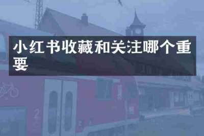 小红书收藏和关注哪个重要